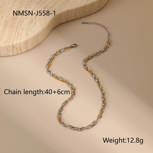 Detail showing two-tone mixed metal chain necklace with lobster clasp and extension link
