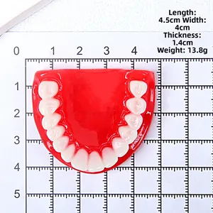 Detail view of 4.5cm realistic dental model charm with red base for DIY accessories