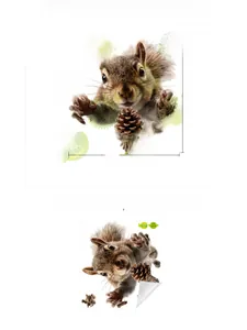 Detailed dimensions of 3D squirrel wall decal with pinecone showing layout and size