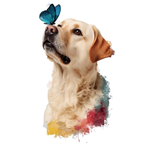 Artistic Labrador dog wall sticker with blue butterfly and watercolor splashes design