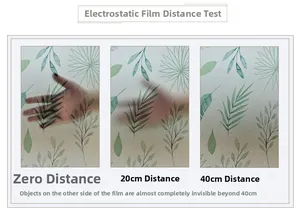 Privacy window film distance test showing frosted film with green leaf patterns