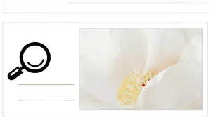 Macro shot of white rose petals and yellow pistils on floral wall decorative stickers