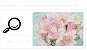 Close-up of pink Alstroemeria flowers with intricate petal patterns on Nordic wallpaper