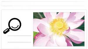 Dettaglio macro dei petali di loto rosa vibranti e del seme giallo sull'adesivo 3D