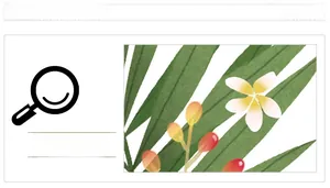 Détail des feuilles tropicales et fleurs de frangipanier sur stickers muraux flamants