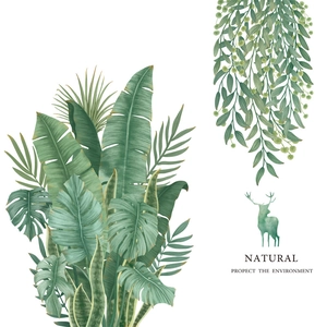 Sticker mural feuilles de bananier tropicales avec plantes monstera décor naturel