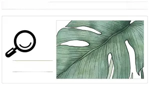 Detail der Monstera-Blatt Aufkleber im Aquarell-Stil für nordische Wanddekoration