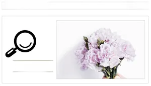 Close-up of pink carnation wall sticker with detailed wavy petals and green stem