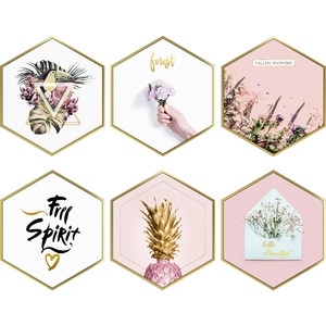 Modern Nordic hexagonal wall stickers with gold frame, pink flowers and toucan motifs