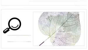 Macro shot showing detailed natural leaf vein texture of decorative purple wall stickers