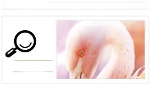 Detailed close-up showing pink flamingo pattern texture and fine printing on wall sticker