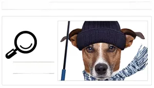 Detail view of navy knit hat and blue-white striped dog scarf with fringes