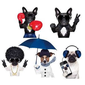 Funny pet wall stickers featuring creative dogs with boxing gloves and headphones decor