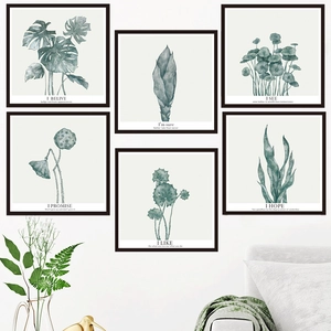 Lot de 6 tableaux muraux plantes monstera avec cadres noirs pour salon scandinave