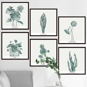 Lot de 6 tableaux botaniques Monstera avec cadres noirs pour décoration de salon