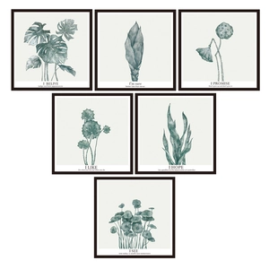 Lot de six stickers muraux monstera minimalistes avec citations inspirantes