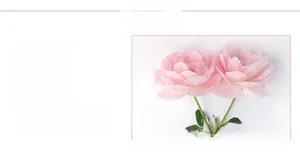 Detailed view of pink rose wall stickers with delicate petal textures and gradients