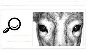 Detail of artistic elk sketch wall sticker showing fine pencil texture and eye details