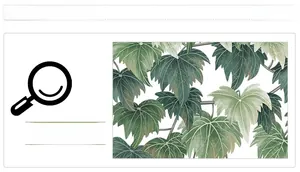 Close-up of green banana leaves and vine wall decal showing printing details