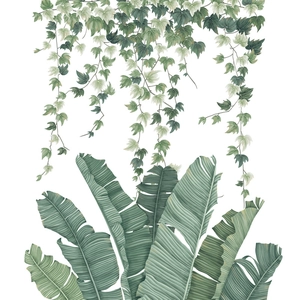 Tropical banana leaf and ivy vine wall stickers in Nordic Morandi green style