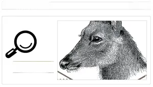 Detailed macro view of the black deer head sketch printed on white geometric wallpaper