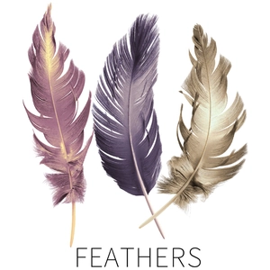 Modern colorful feather wall stickers with metallic texture for living room decor