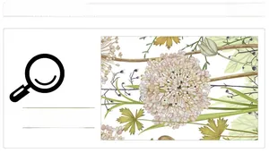 Detailed view of pastoral floral pattern with pink flowers and green leaves on wall sticker