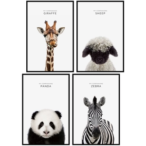Set of 4 minimalist framed animal wall art featuring giraffe, sheep, panda and zebra portraits
