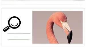 Detail view of flamingo wall sticker showing pink feather textures and black beak