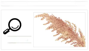 Detailed texture of waterproof wall decals with warm reed and sunset patterns