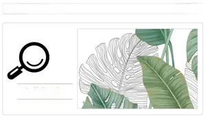Detailed macro view of green tropical monstera leaves and banana leaf patterns on wallpaper