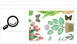 Detail of watercolor tulip and potted plant wall stickers with yellow butterflies