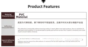 Detail illustration showing PVC material and removable adhesive features for wall stickers