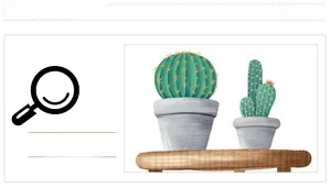 Detail of minimalist cactus illustration in grey ceramic pots on wooden surface