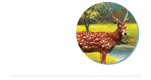Vue détaillée de l'impression de cerf et de forêt sur sticker mural PVC autocollant