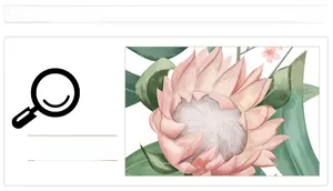 Detailed close-up of pink Protea floral print on waterproof tropical monstera leaf wall decal