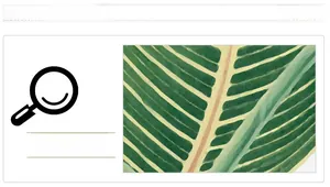Detail showing green plant leaf veins texture of self-adhesive wall stickers for living room