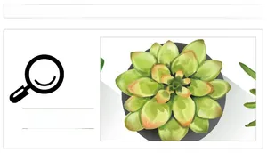 Illustration aquarelle détaillée de feuilles de succulentes aux pointes vertes et orange