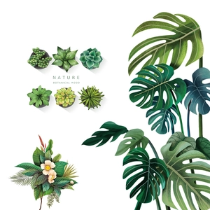 Stickers muraux Monstera et plantes succulentes pour décoration murale botanique