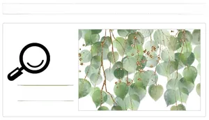 Detail showing green heart-shaped leaves with golden glitter vines wall sticker