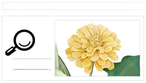 Detailed macro view of yellow watercolor Zinnia flower wall sticker with green leaves
