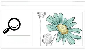 Detail showing the light blue daisy floral pattern and hand-drawn line art illustrations