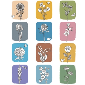 Floral wall stickers with 12 minimalist hand-drawn botanical illustrations in Morandi colors