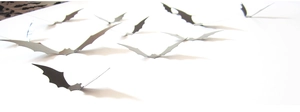 Macro shot of 3D black PVC bat wall stickers with adjustable wings for Halloween decor
