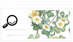 Detailed macro view of Nordic floral wall decals featuring white daisies and green leaves