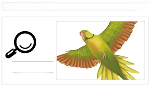 Detail of colorful parrot wall sticker with vibrant green and yellow feathers