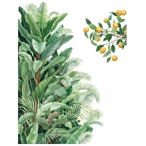 Stickers muraux avec feuilles de bananier tropicales et branche d'agrumes sur fond blanc