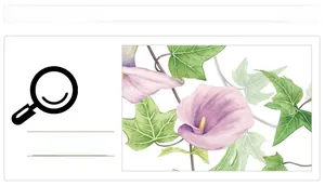Detail of morning glory floral wall sticker with pink lilies and green vine pattern