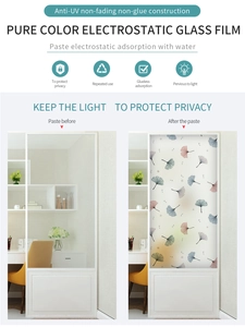 Privacy frosted window film with ginkgo leaf pattern showing before and after effect