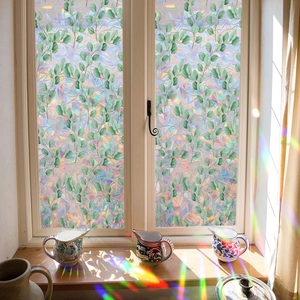 Detail showing 3D rainbow window film with green eucalyptus leaves on a sunny frame